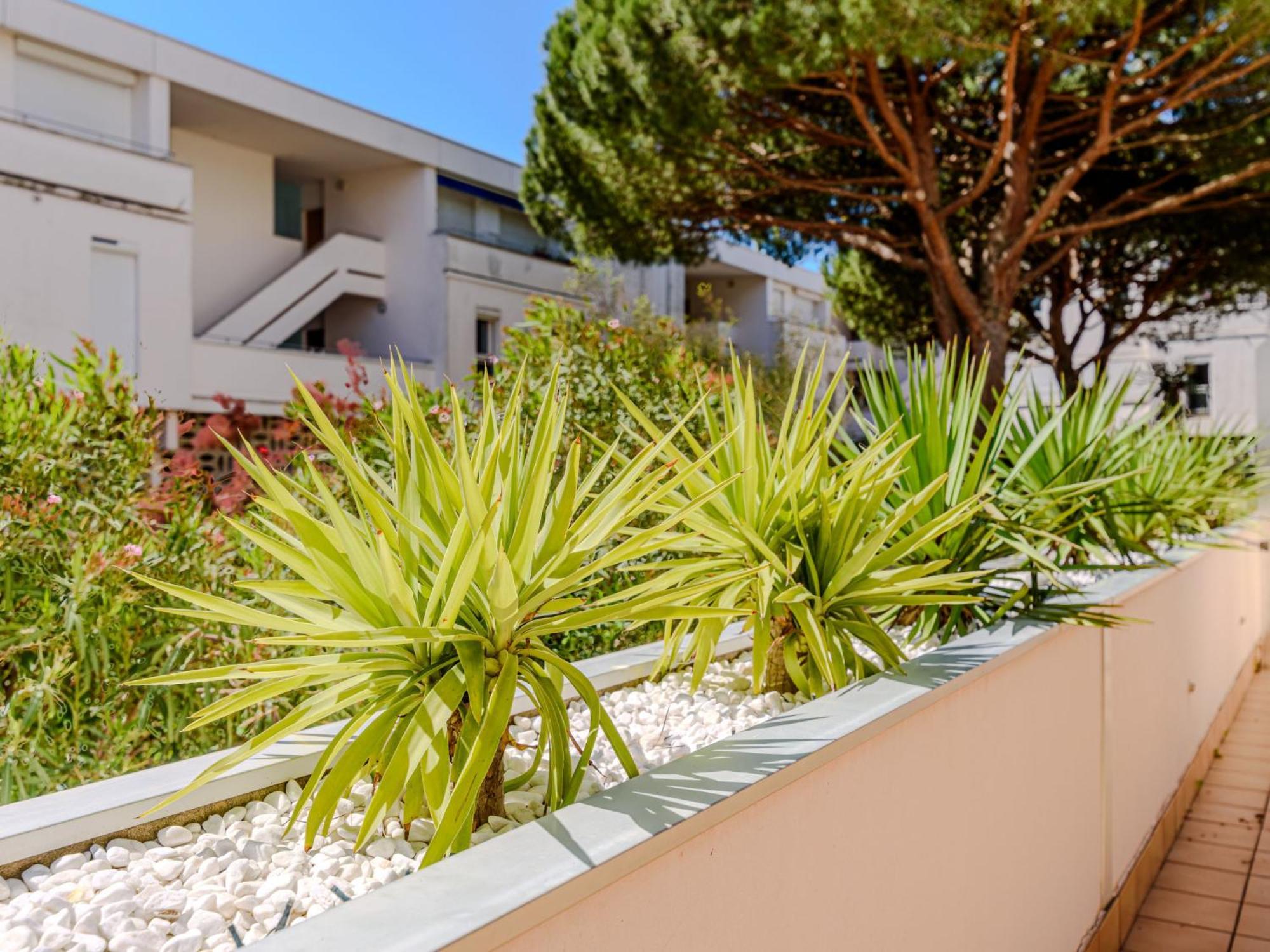 Apartment Antinea-4 By Interhome La Grande Motte Luaran gambar