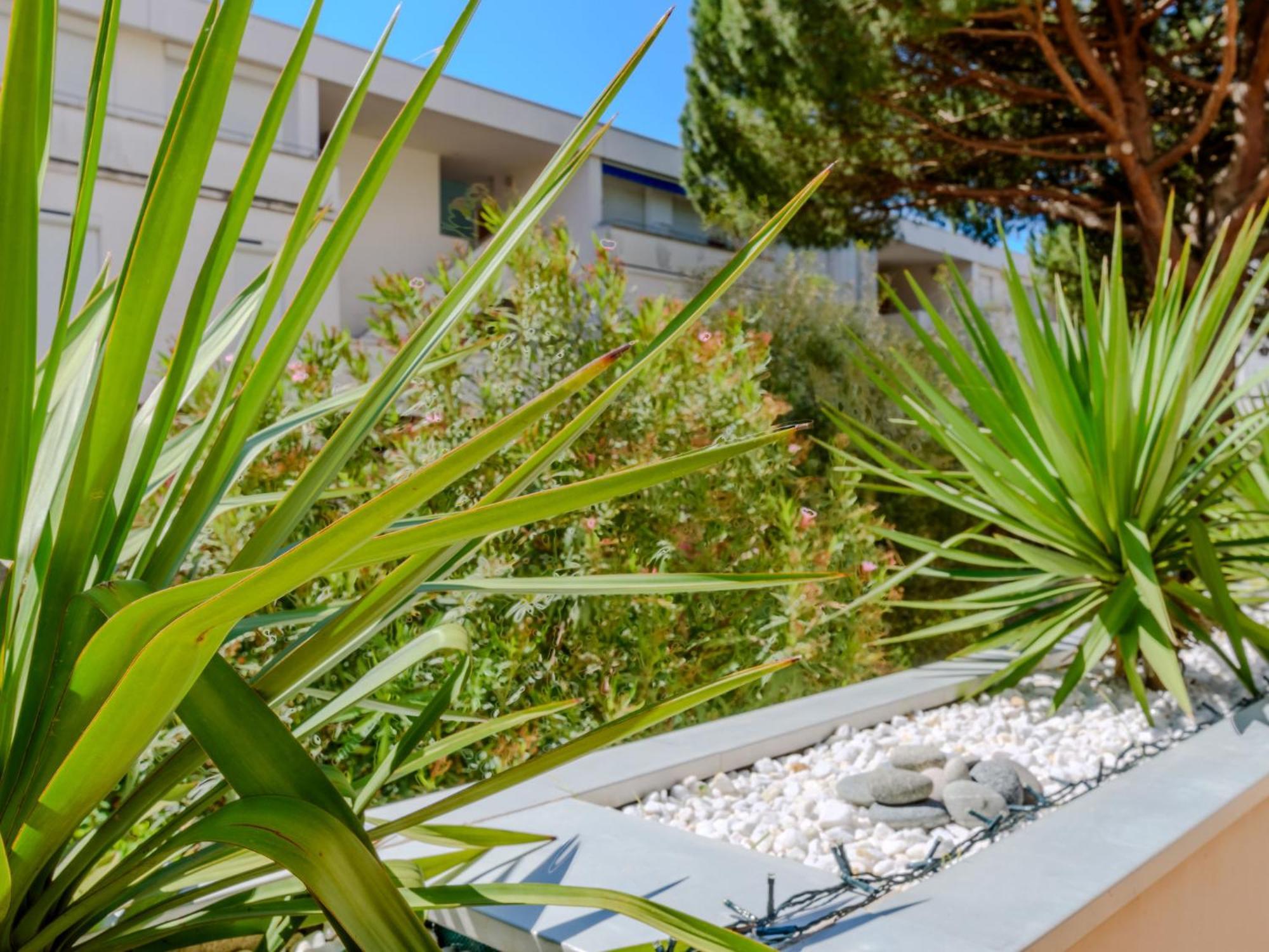 Apartment Antinea-4 By Interhome La Grande Motte Luaran gambar