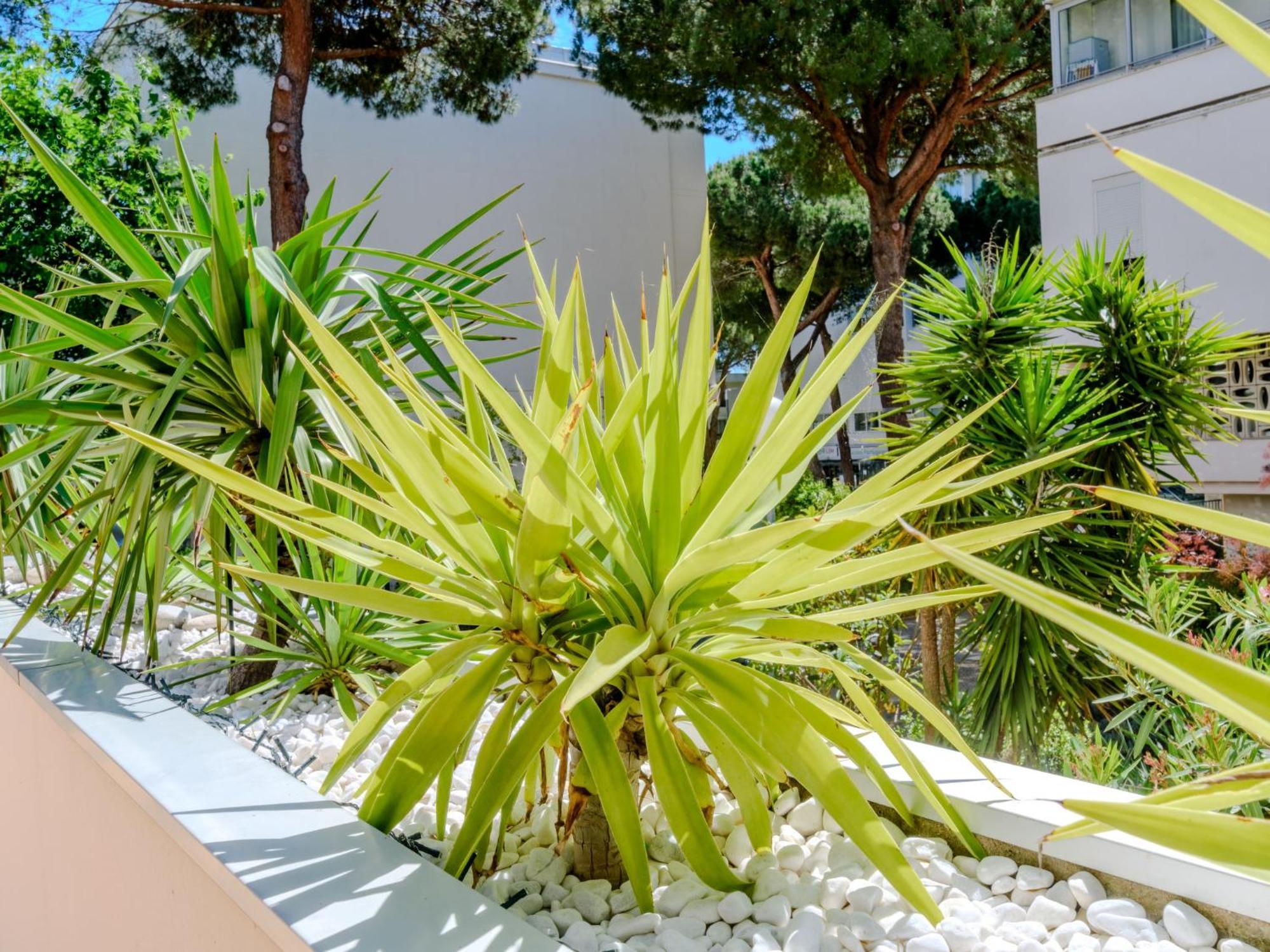 Apartment Antinea-4 By Interhome La Grande Motte Luaran gambar
